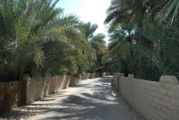 Al Ain Oasis: Place in Abu Dhabi, United Arab Emirates