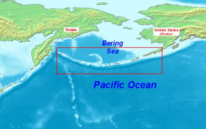 Aleutian Islands: Chain of islands in the Pacific Ocean