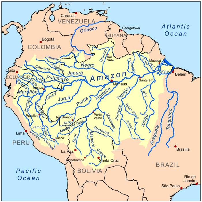 Amazon River: Major river in South America