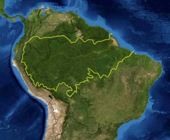 Amazon rainforest: Large rainforest in South America