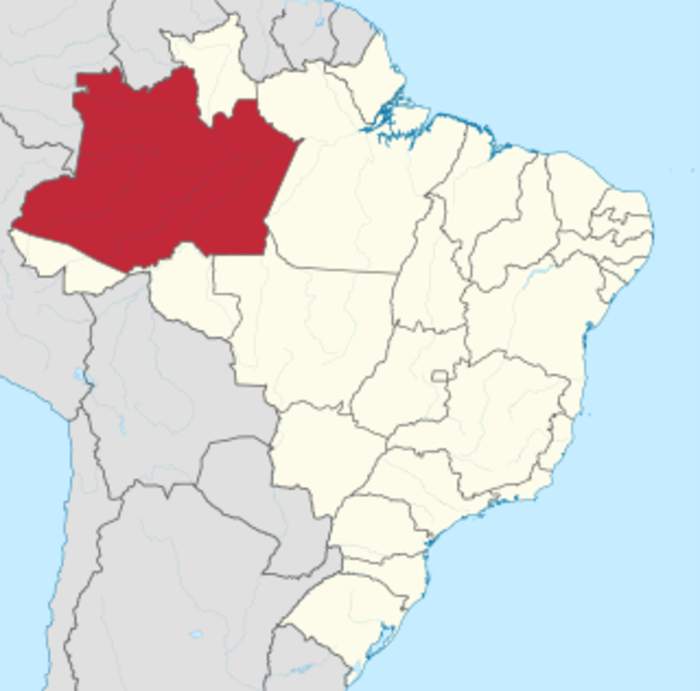 Amazonas (Brazilian state): State of Brazil