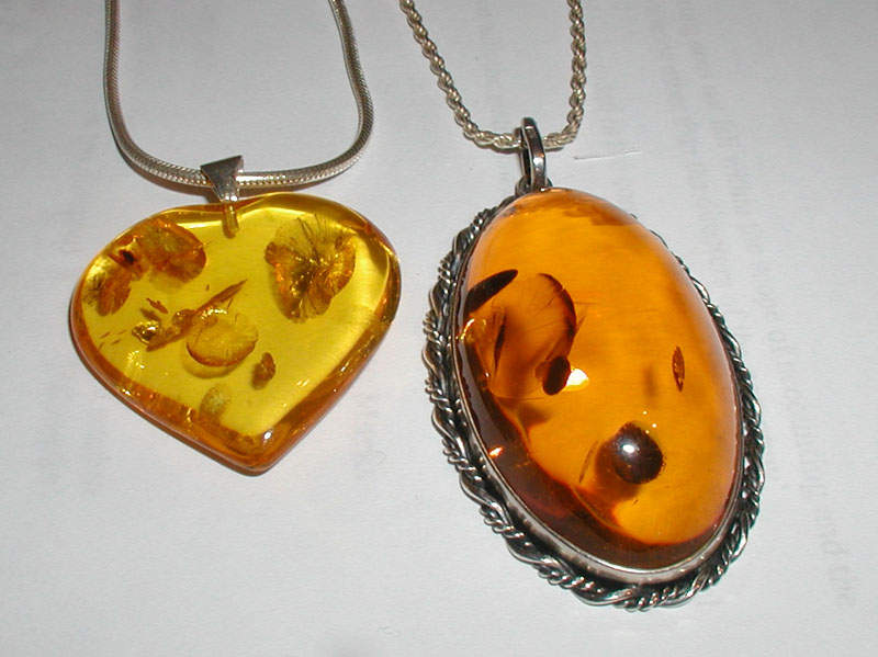 Amber: Fossilized tree resin