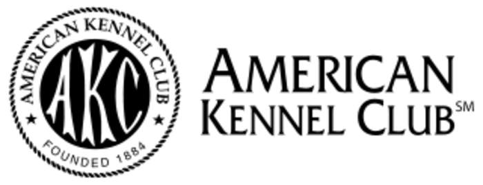 American Kennel Club: American purebreed dog registry