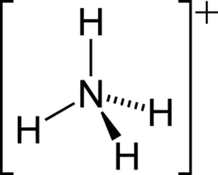 Ammonium: Cation, protonated ammonia