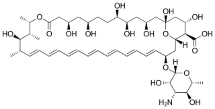 Amphotericin B: 