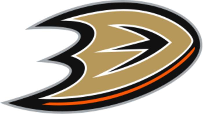 Anaheim Ducks: National Hockey League team in California