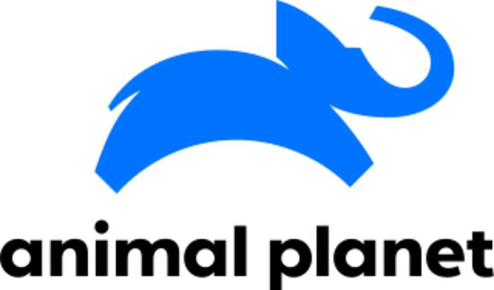 Animal Planet: American pay television channel