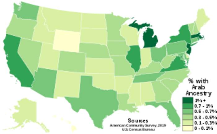 Arab Americans: Ethnic group