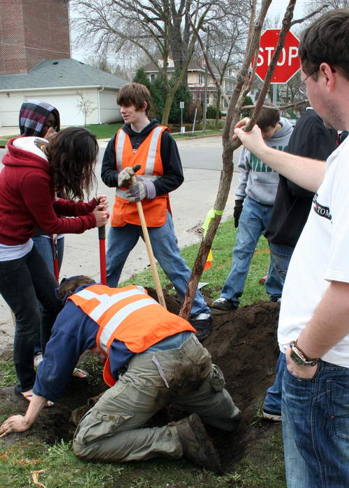 Arbor Day: Holiday in which individuals and groups are encouraged to plant and care for trees