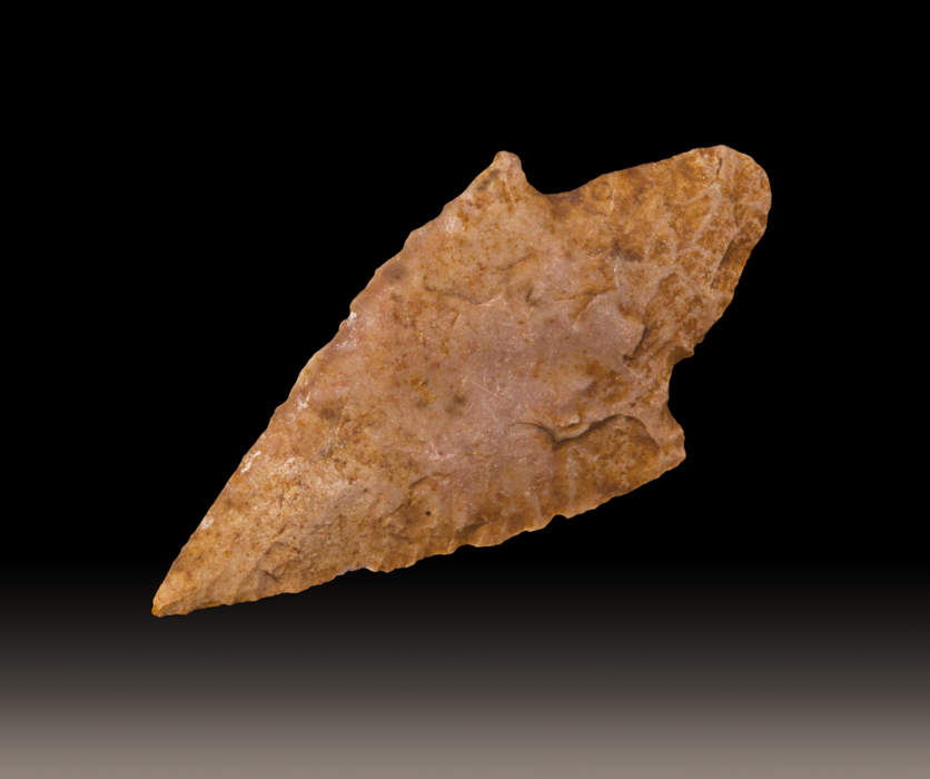 Arrowhead: Sharpened tip of an arrow