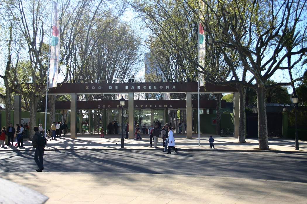 Barcelona Zoo: Zoo in Catalonia, Spain