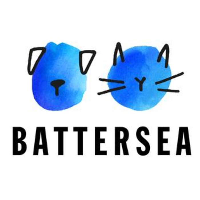 Battersea Dogs & Cats Home: Animal rescue centre in London, England