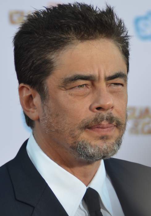 Benicio del Toro: Puerto Rican actor (born 1967)