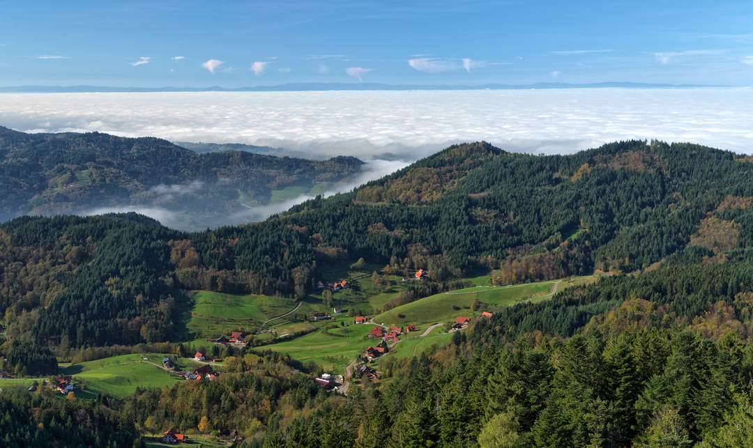 Black Forest: Mountain range in Germany