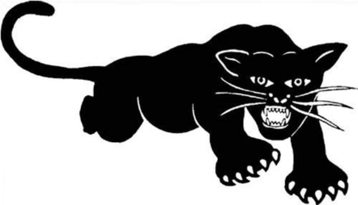 Black Panther Party: US black power organization (1966–1982)