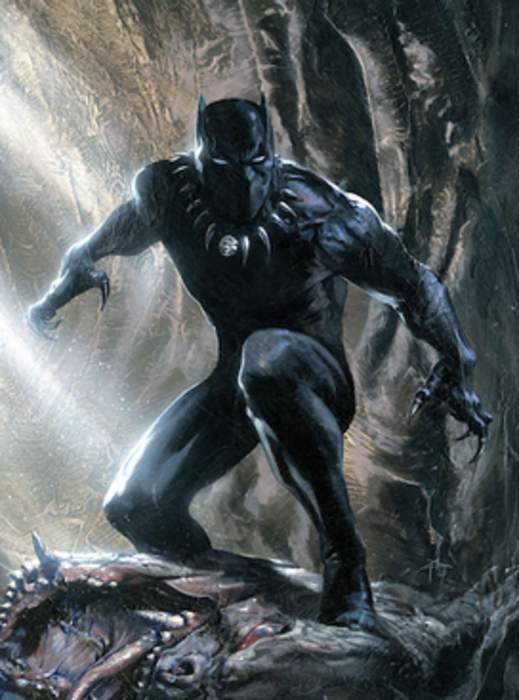 Black Panther (character): Marvel Comics fictional character