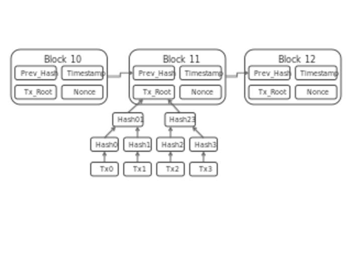 Blockchain: Distributed data store for digital transactions