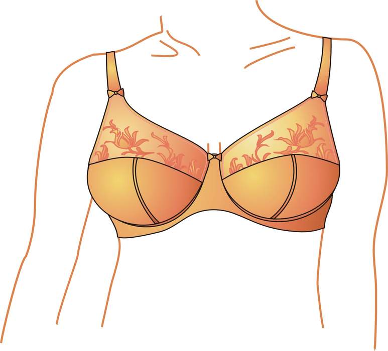 Bra: Women's undergarment for supporting the breasts