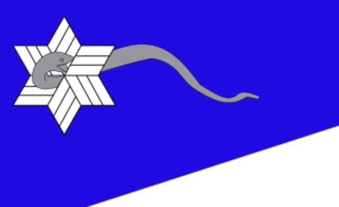 Branch Davidians: American religious sect
