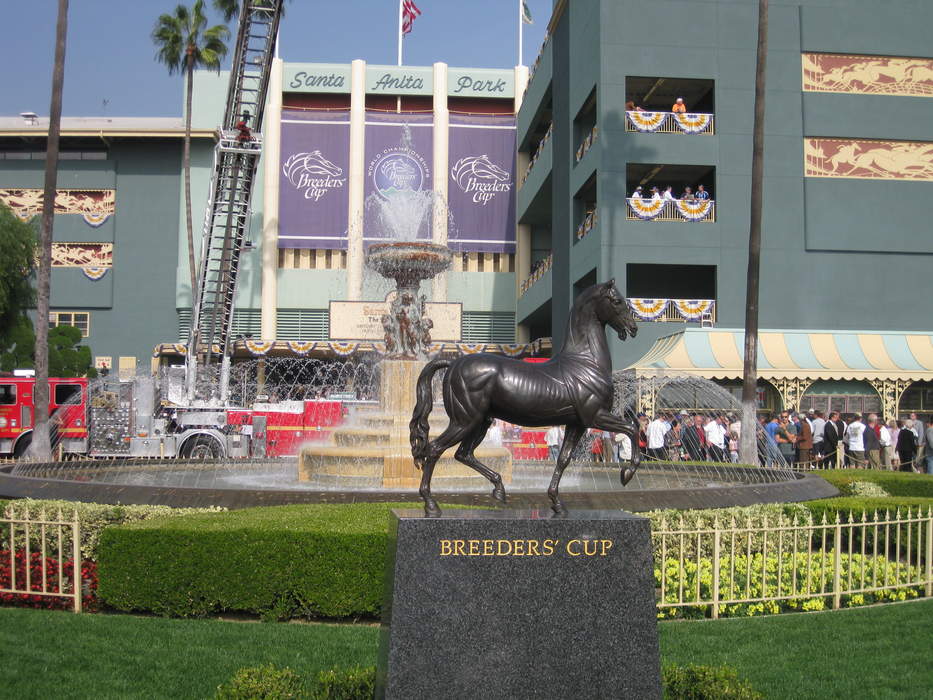 Breeders' Cup: Grade I Thoroughbred horse racing