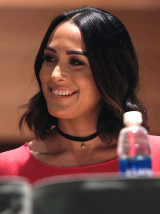 Brie Bella: American professional wrestler (born 1983)