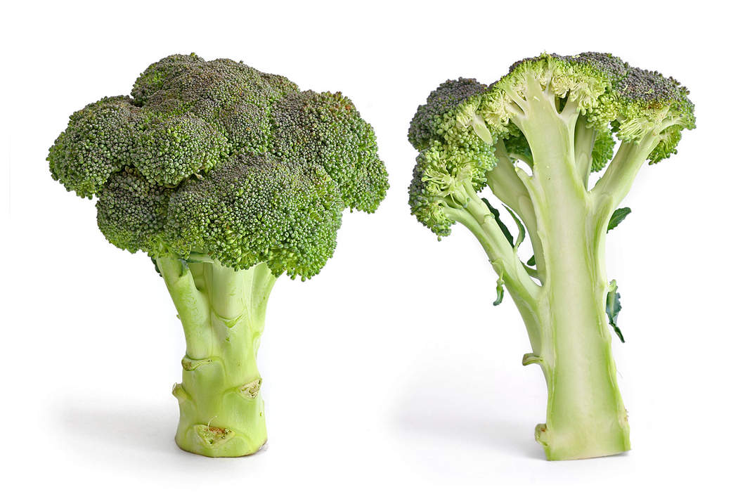 Broccoli: Edible green plant in the cabbage family