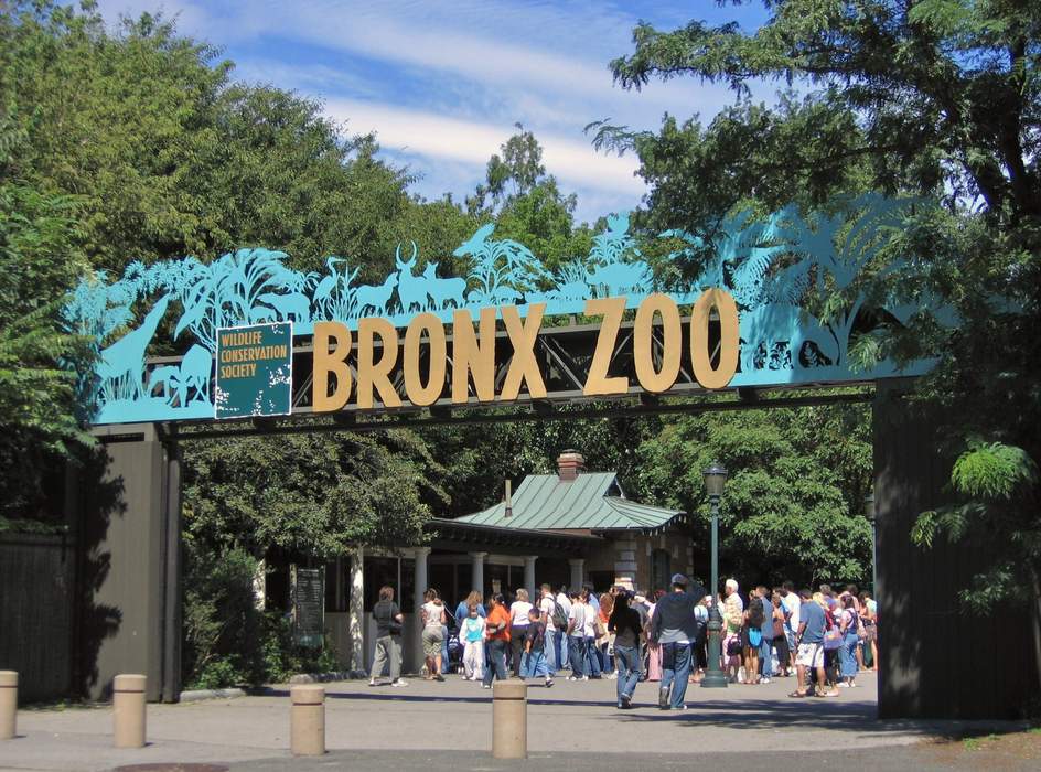 Bronx Zoo: Metropolitan zoo in the Bronx, New York