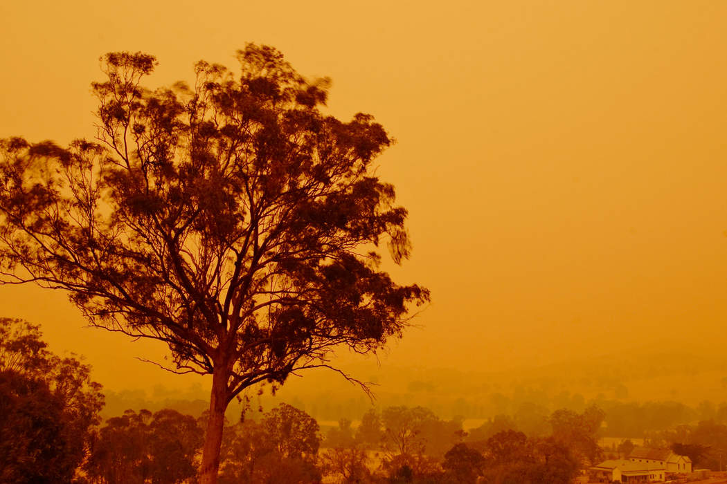 Bushfires in Australia: Frequently occurring wildfire events