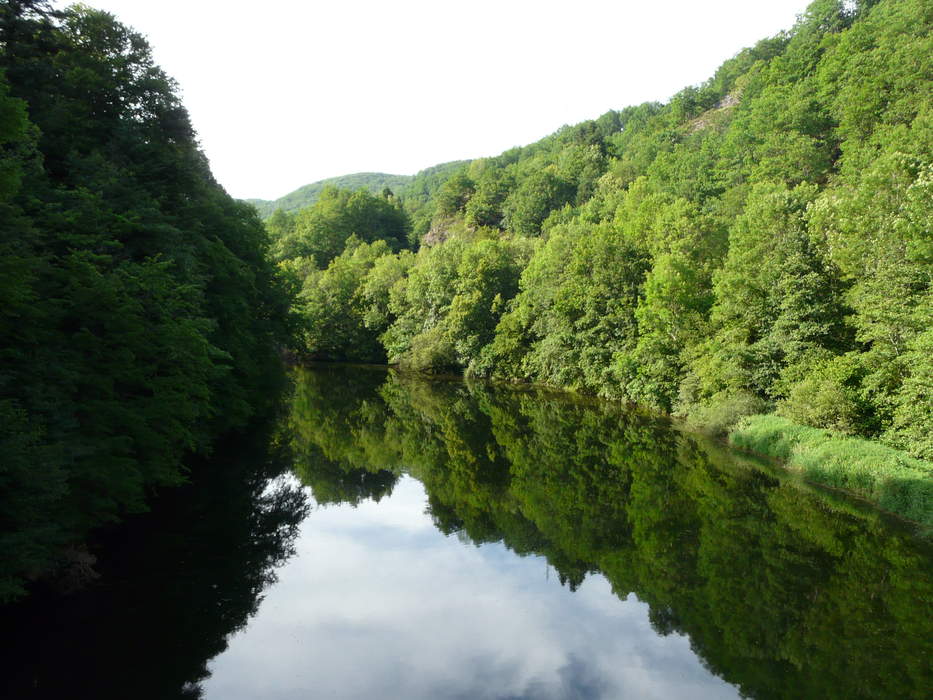 Cantal: Department in Auvergne-Rhône-Alpes, France