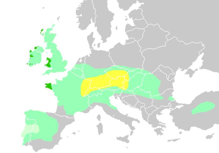 Celts: Indo-European ethnolinguistic group
