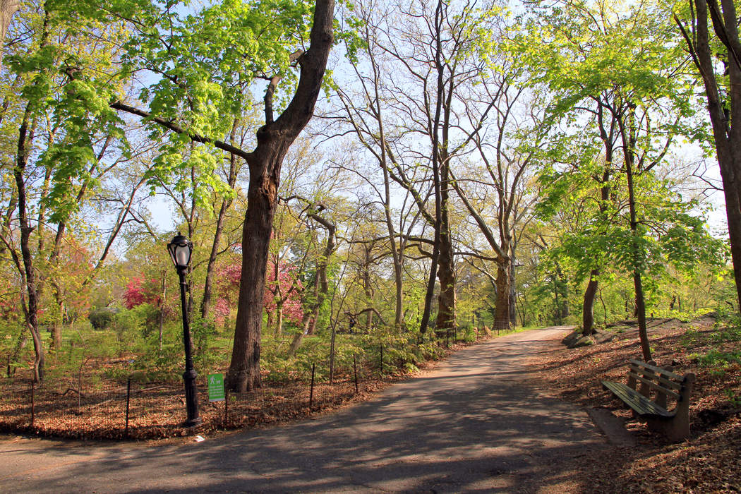 Central Park birdwatching incident: Racially charged confrontation in New York City's Central Park