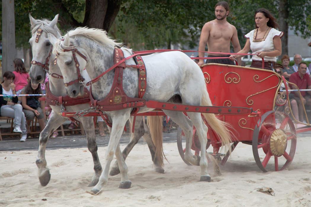 Chariot: Carriage using animals to provide rapid motive power