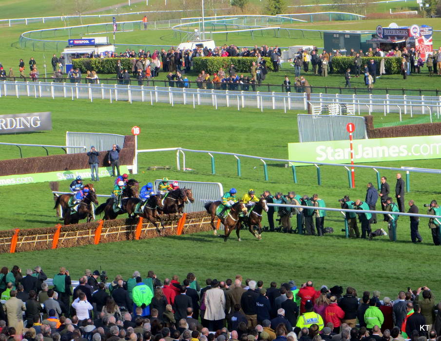 Cheltenham Festival: British horse racing festival