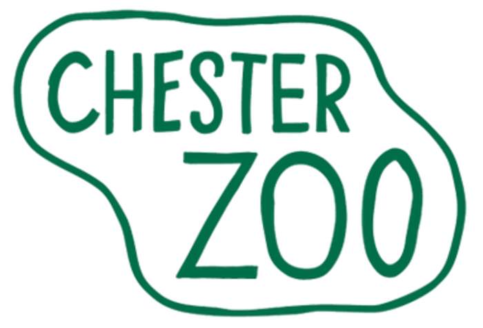 Chester Zoo: Zoo in Upton-by-Chester, Chester, England