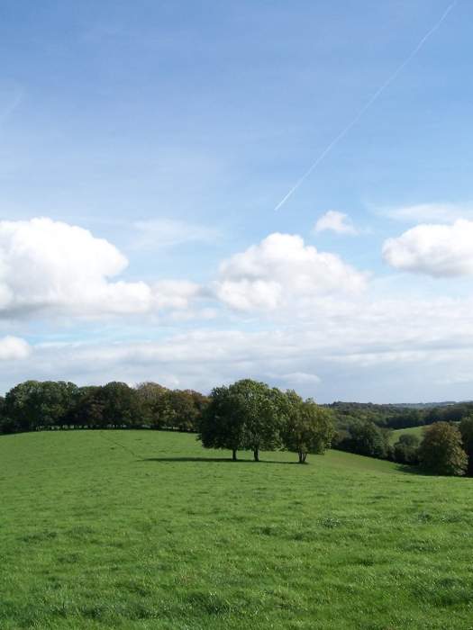 Chiltern Hills: Range of hills in Southeast England