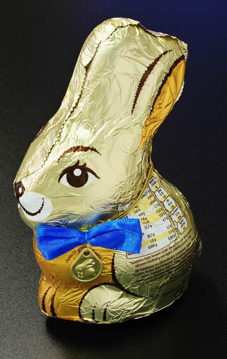 Chocolate bunny: Piece of chocolate in the shape of a rabbit