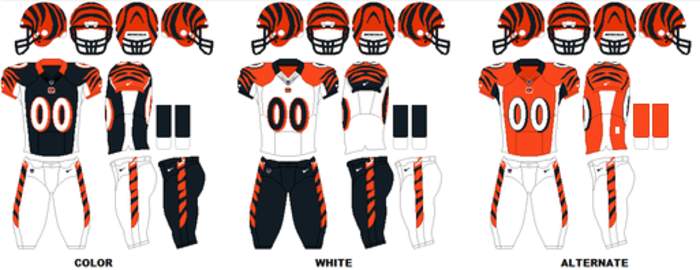 Cincinnati Bengals: NFL franchise in Cincinnati, Ohio