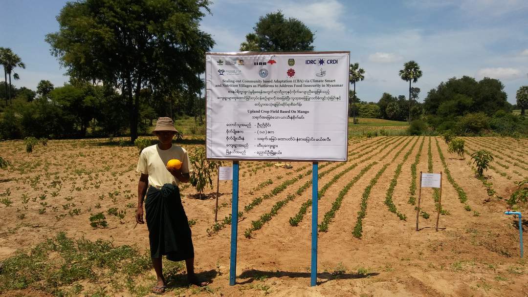 Climate-smart agriculture: System for agricultural productivity