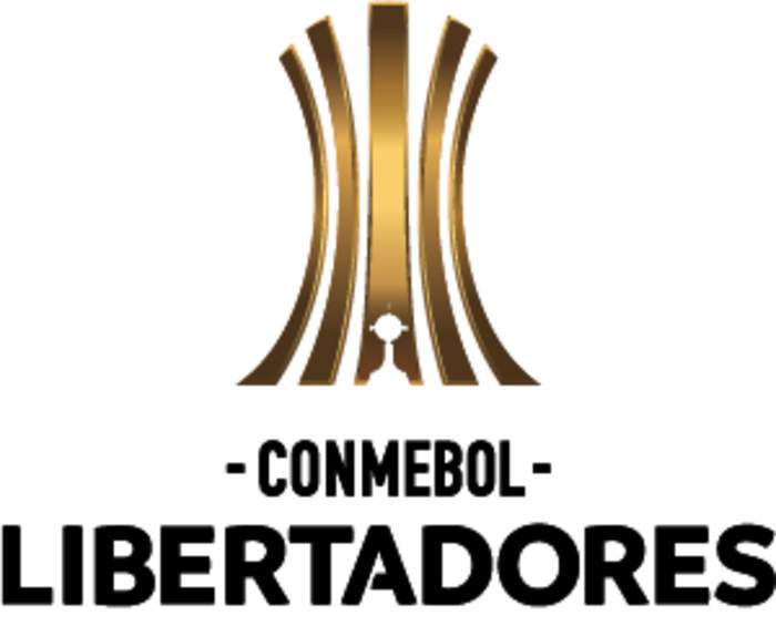 Copa Libertadores: South American association football tournament