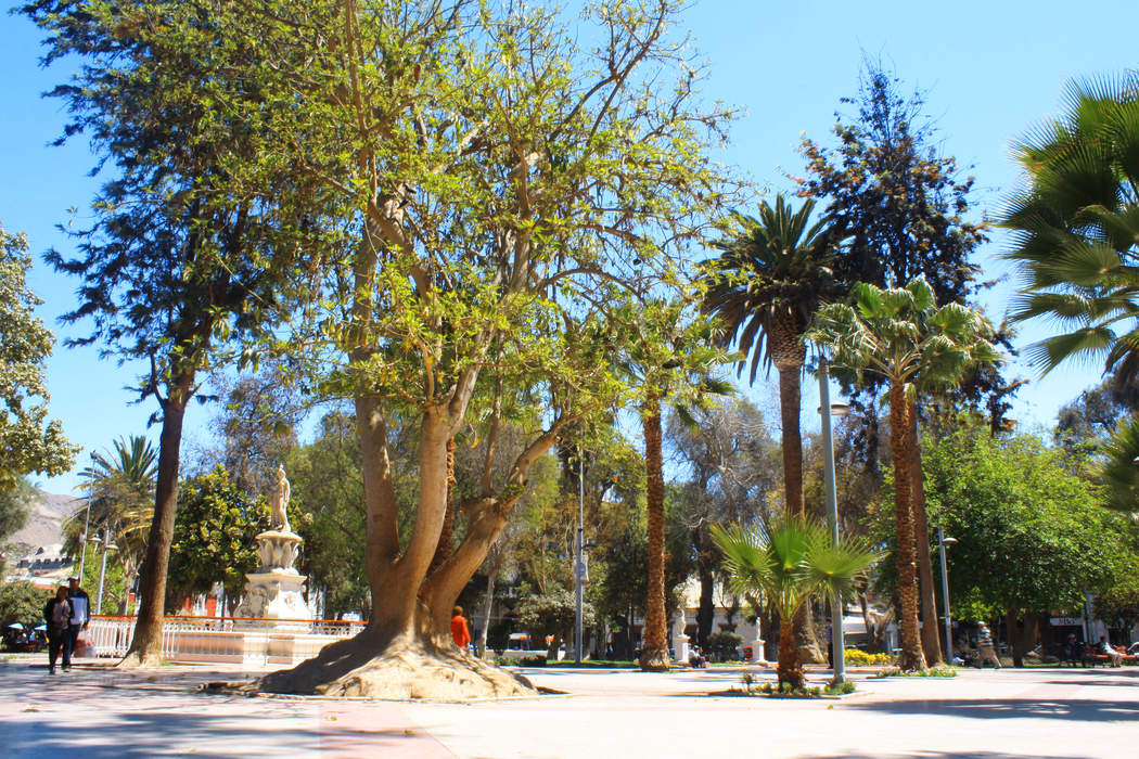Copiapó: City and Commune in Atacama, Chile