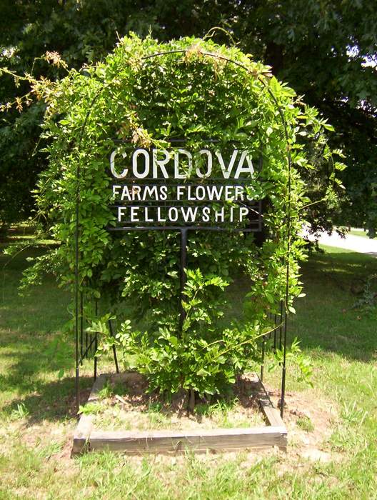Cordova, Tennessee: Community in Tennessee, United States