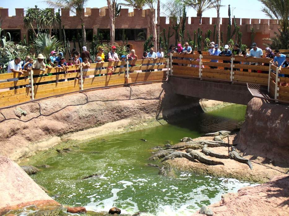 Crocoparc Agadir: Zoological park in Agadir, Morocco