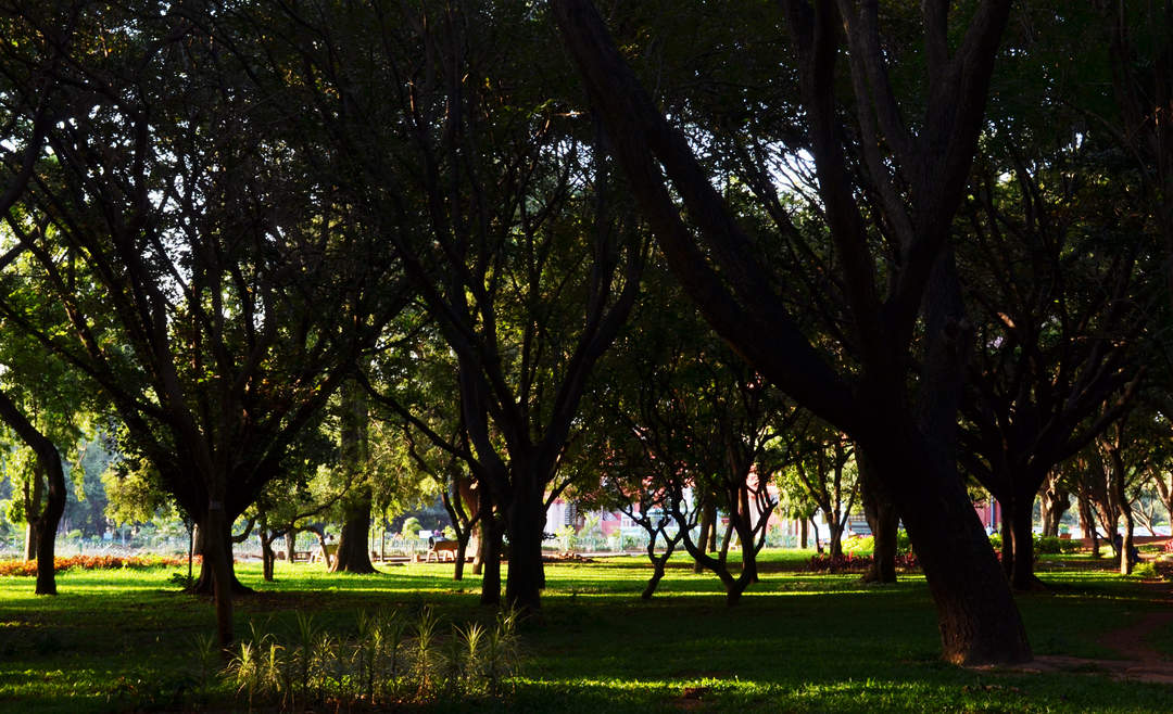 Cubbon Park: Neighbourhood in Bengaluru Urban, Karnataka, India