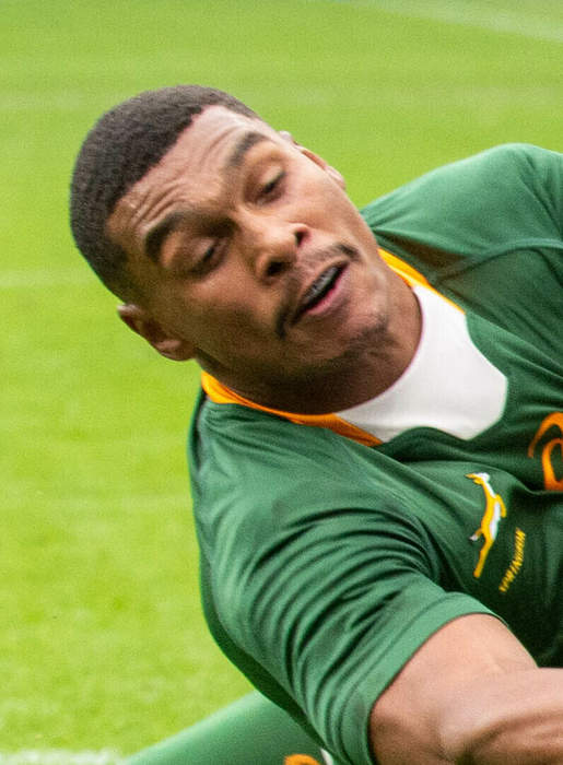Damian Willemse: Rugby player