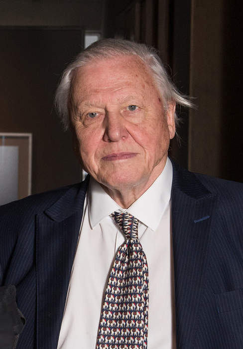 David Attenborough: British broadcaster and naturalist (born 1926)
