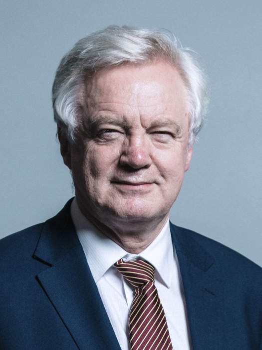David Davis (British politician): British Conservative politician and former businessman