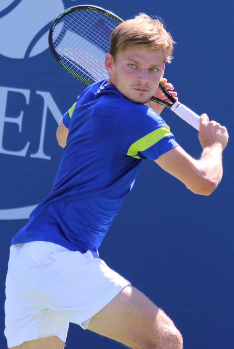 David Goffin: Belgian tennis player (born 1990)