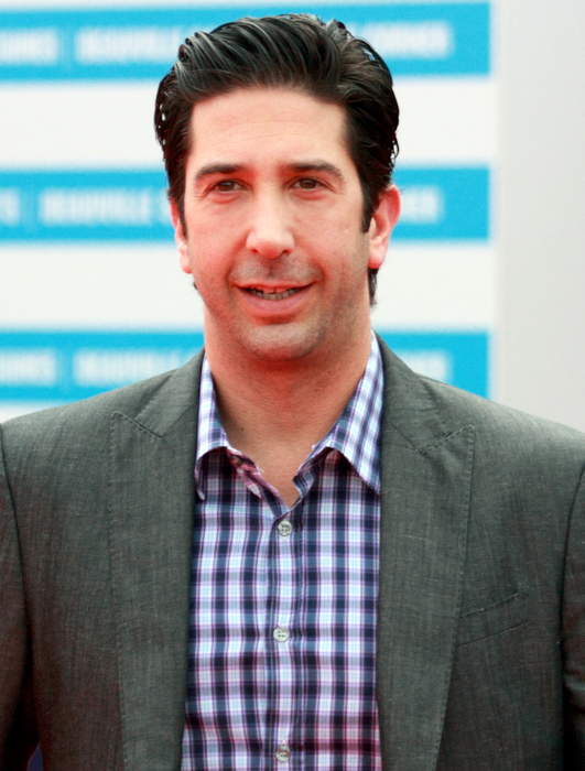 David Schwimmer: American actor (born 1966)