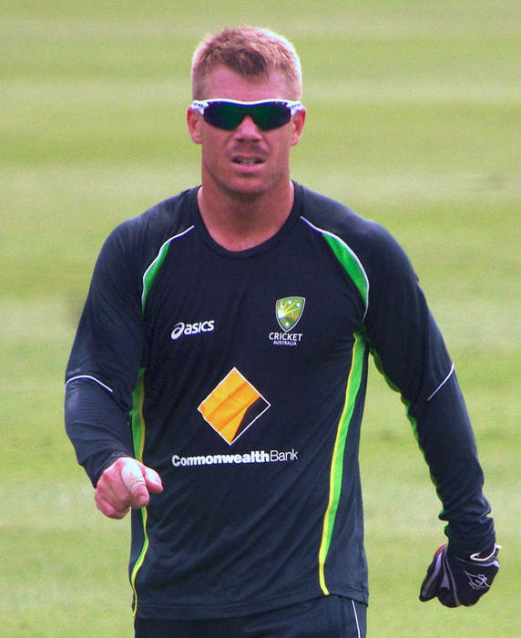 David Warner (cricketer): Australian international cricketer