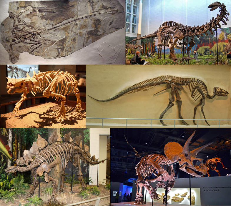 Dinosaur: Archosaurian reptiles that dominated the Mesozoic Era